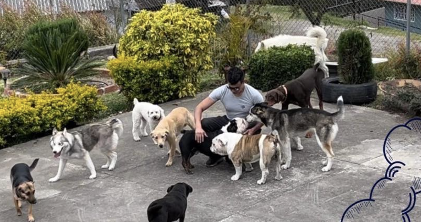 Perros jugando en la guardería Fausto y Zeus