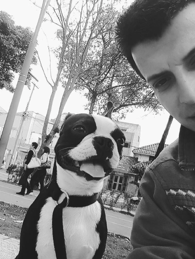 Paseo con Boston Terrier por las calles de Cuenca